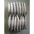 Bqf Замороженная рыба из морепродуктов для скумбрии